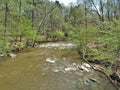 Buckquarter Creek Trail in Eno River State Park